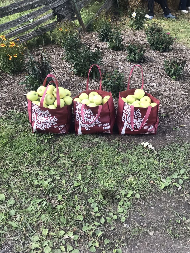 Lots of apples
